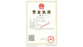 执照